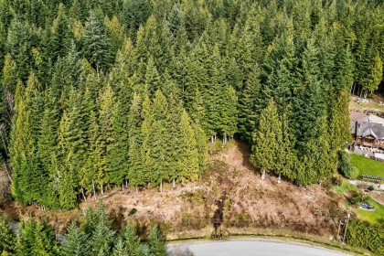 Photo 8 at 27641 128 Avenue, Northeast, Maple Ridge