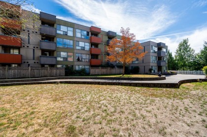 Photo 29 at 208 - 12075 228 Street, East Central, Maple Ridge