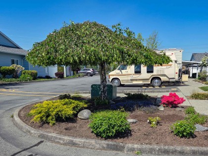 Photo 26 at 39 - 23580 Dewdney Trunk Road, Cottonwood MR, Maple Ridge