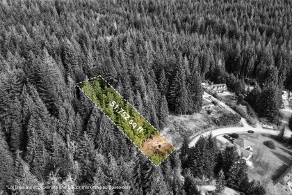 Photo 3 at 27629 128 Avenue, Northeast, Maple Ridge