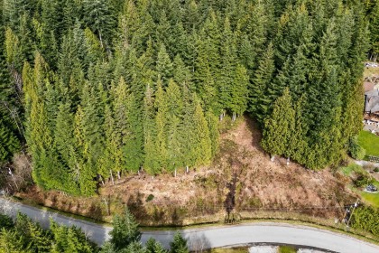 Photo 11 at 27629 128 Avenue, Northeast, Maple Ridge
