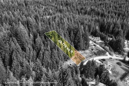 Photo 4 at 27629 128 Avenue, Northeast, Maple Ridge