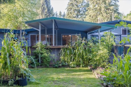 Photo 36 at 21784 Donovan Avenue, West Central, Maple Ridge