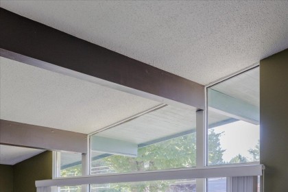 Photo 18 at 21784 Donovan Avenue, West Central, Maple Ridge
