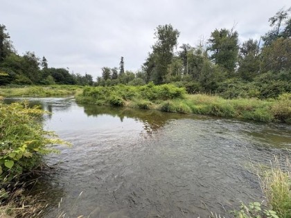 Photo 14 at 21810 132 Avenue, West Central, Maple Ridge