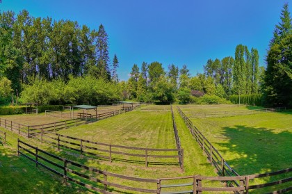 Photo 8 at 21810 132 Avenue, West Central, Maple Ridge