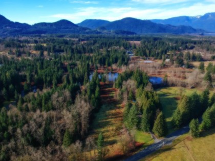 Photo 36 at 14157 Sylvester Road, Durieu, Mission