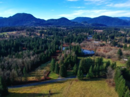 Photo 33 at 14157 Sylvester Road, Durieu, Mission