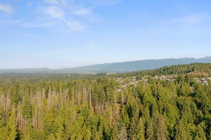Photo 39 at 13175 239b Street, Silver Valley, Maple Ridge