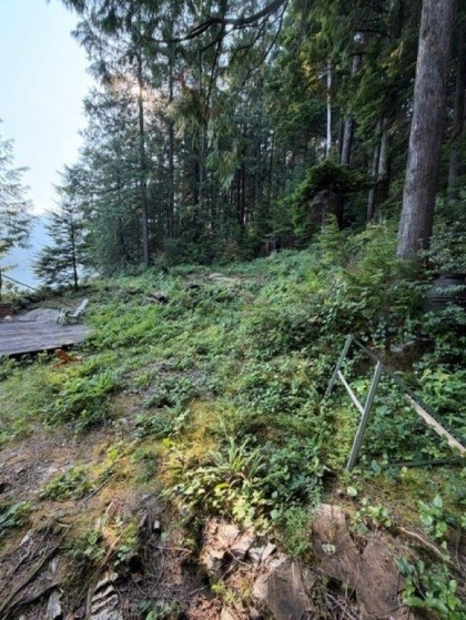 Photo 23 at 4 South Of Debeck Creek, North Meadows PI, Pitt Meadows