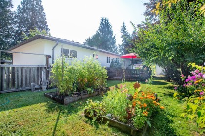 Photo 28 at 12157 250 Street, Websters Corners, Maple Ridge
