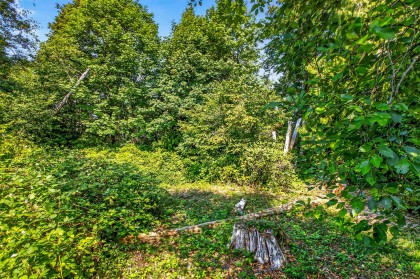 Photo 35 at 33 - 22900 126 Avenue, East Central, Maple Ridge
