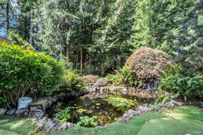 Photo 28 at 13546 232 Street, Silver Valley, Maple Ridge