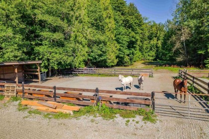 Photo 22 at 12290 252 Street, Websters Corners, Maple Ridge