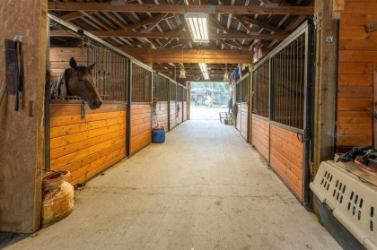 Photo 28 at 12290 252 Street, Websters Corners, Maple Ridge