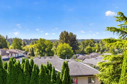 Photo 34 at 23836 Zeron Avenue, Albion, Maple Ridge