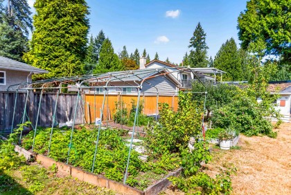 Photo 34 at 21437 122 Avenue, West Central, Maple Ridge