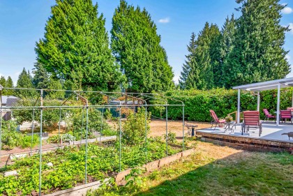 Photo 33 at 21437 122 Avenue, West Central, Maple Ridge
