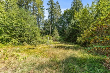 Photo 9 at 11167 284 Street, Whonnock, Maple Ridge