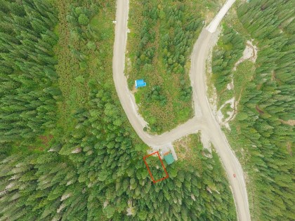 Photo 3 at 20419 Edelweiss Drive, Hemlock, Mission