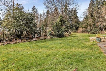 Photo 12 at 12954 Mill Street, Silver Valley, Maple Ridge