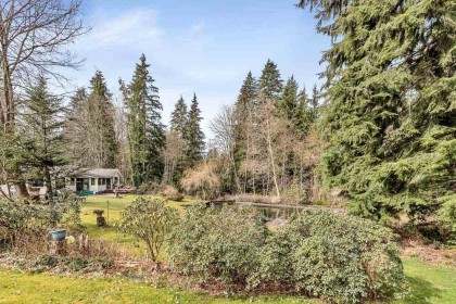 Photo 14 at 12954 Mill Street, Silver Valley, Maple Ridge