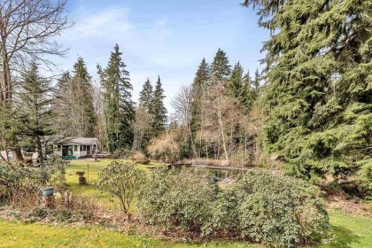Photo 15 at 12954 Mill Street, Silver Valley, Maple Ridge