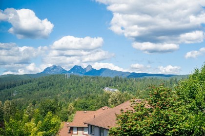 Photo 23 at 13622 228th Street, Silver Valley, Maple Ridge