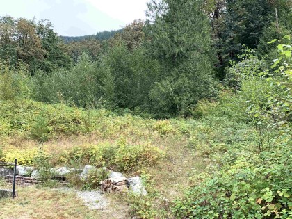 Photo 9 at 10710 Sylvester Road, Durieu, Mission
