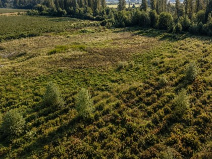 Photo 9 at 11185 Farms Road, Durieu, Mission