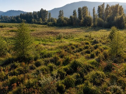 Photo 11 at 11185 Farms Road, Durieu, Mission