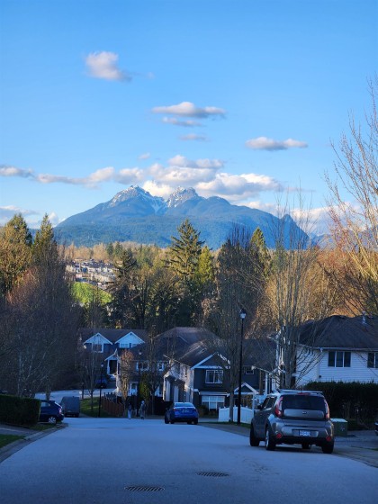 Photo 33 at 10680 239 Street, Albion, Maple Ridge