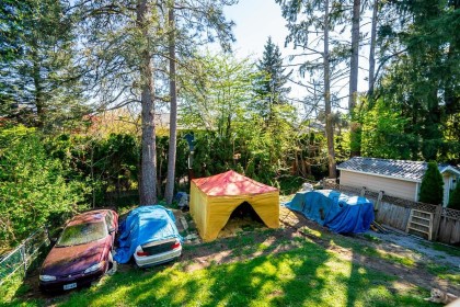Photo 19 at 21528 Donovan Avenue, West Central, Maple Ridge