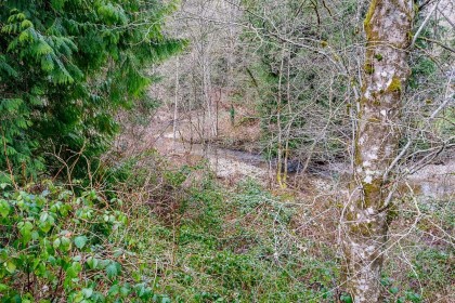 Photo 27 at 12041 256th Street, Websters Corners, Maple Ridge