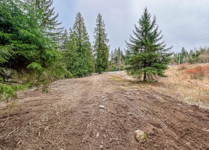 Photo 17 at 12041 256th Street, Websters Corners, Maple Ridge