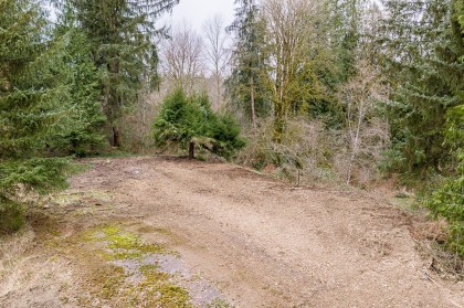 Photo 22 at 12041 256th Street, Websters Corners, Maple Ridge