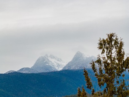 Photo 14 at 12041 256th Street, Websters Corners, Maple Ridge