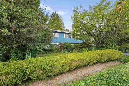 Photo 1 at 11669 228 Street, East Central, Maple Ridge