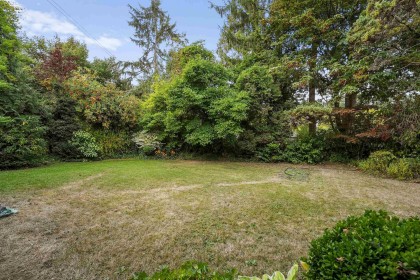 Photo 19 at 11669 228 Street, East Central, Maple Ridge