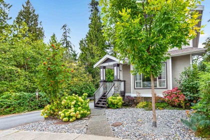 Photo 3 at 22799 116 Avenue, East Central, Maple Ridge
