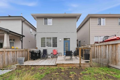 Photo 33 at 10288 243 Street, Albion, Maple Ridge