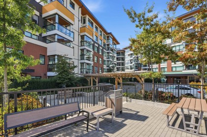 Photo 26 at 108 - 11639 227 Street, East Central, Maple Ridge
