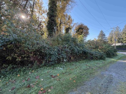 Photo 3 at 9870 287 Street, Whonnock, Maple Ridge