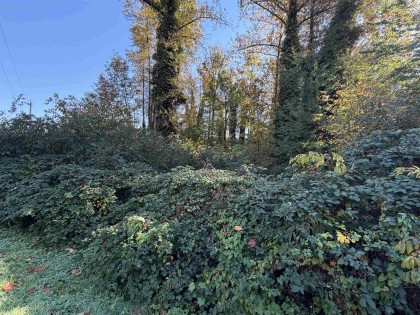Photo 10 at 9870 287 Street, Whonnock, Maple Ridge