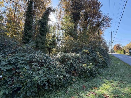 Photo 11 at 9870 287 Street, Whonnock, Maple Ridge