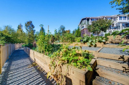 Photo 35 at 72 - 24108 104 Avenue, Albion, Maple Ridge