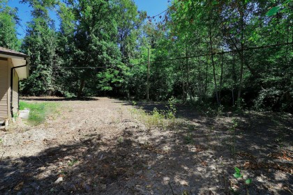 Photo 27 at 25982 Dewdney Trunk Road, Websters Corners, Maple Ridge