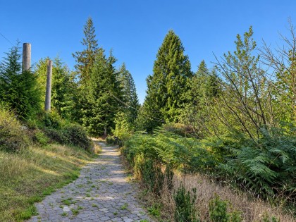 Photo 34 at 31081 Silverhill Road, Mission-West, Mission