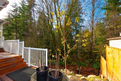 Photo 29 at 13257 239b Street, Silver Valley, Maple Ridge