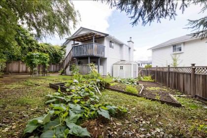 Photo 23 at 22442 125 Avenue, East Central, Maple Ridge